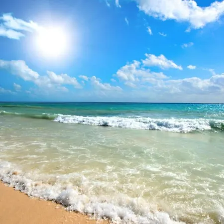 Royal Sun O 31 Royal Sun 아파트