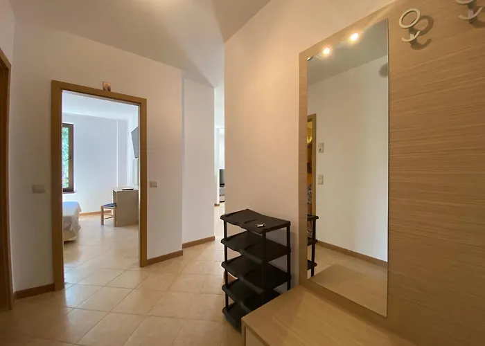 Royal Sun O 31 Royal Sun